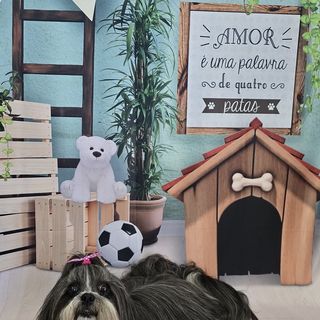 Pet feliz no Pet's Day — galeria de clientes (22)
