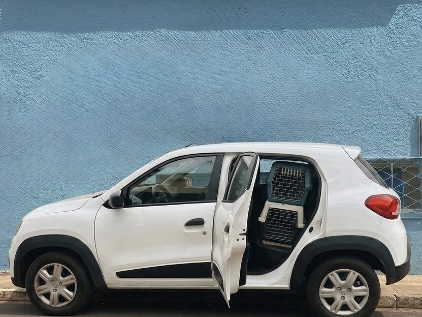 Veículo do Taxi Pet Pet's Day na Vila Progresso com caixas de transporte — busca e entrega